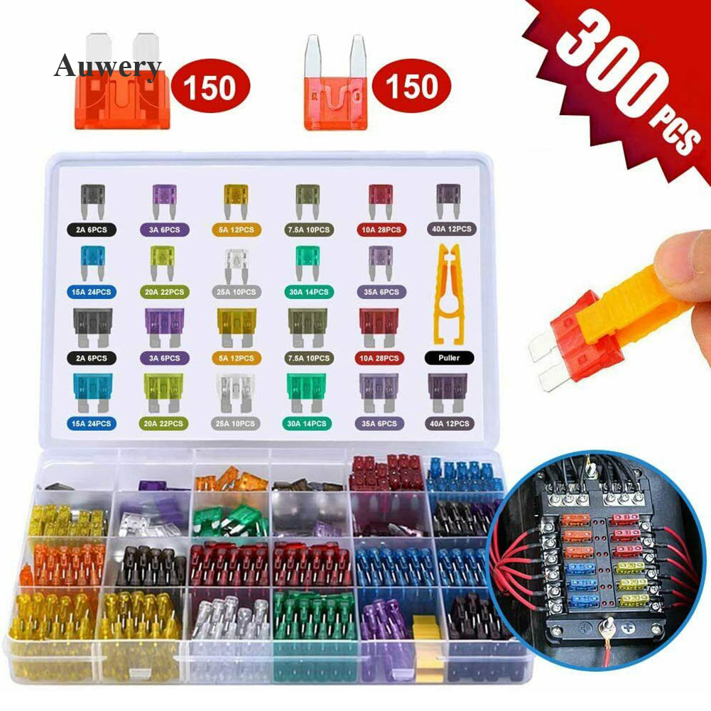 300PCS Car Fuses, Blade Fuse Assortment Set For Auto Fuses Replacement, Multi-Function Blade Fuses Kit With Carrying Box